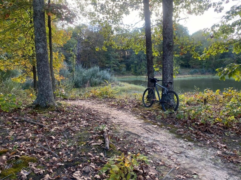 Types of Cycling