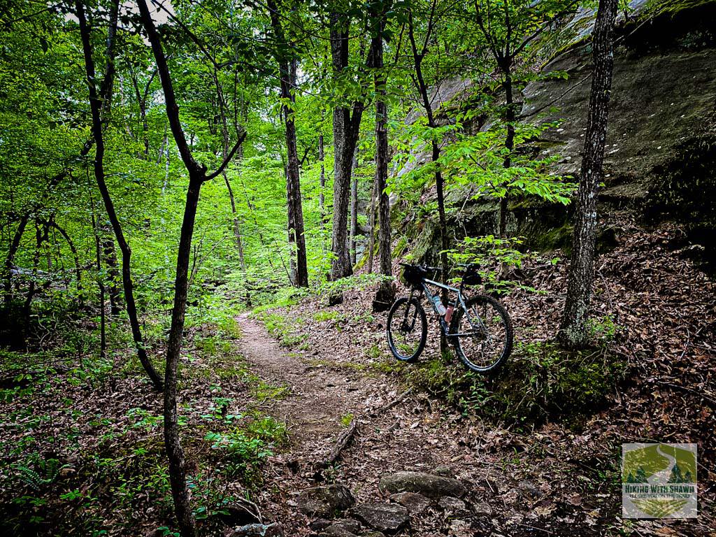 Mountain Biking